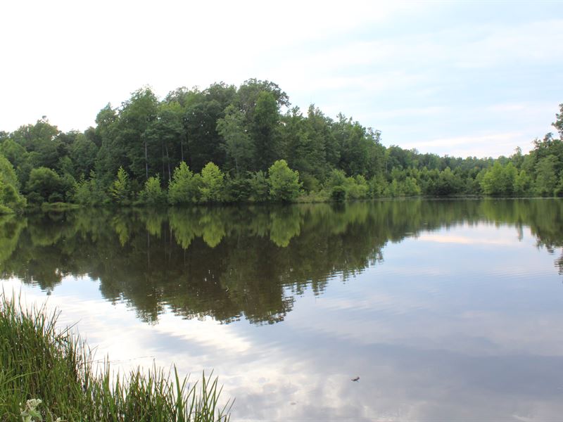 9 Parcels 10+ Acres Each : Powhatan : Powhatan County : Virginia