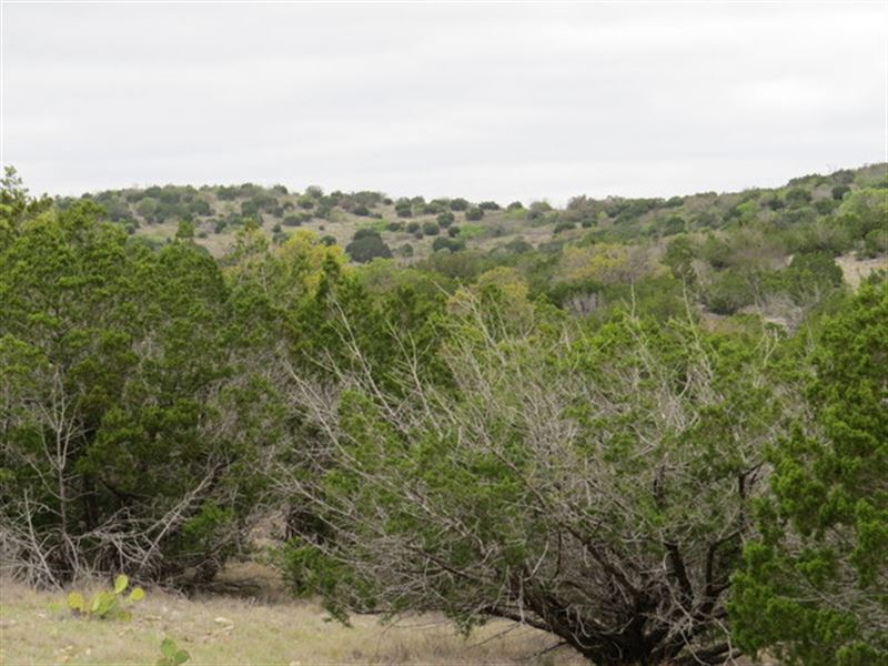 51.12 Acres Water,Electric, Hunting : Rocksprings : Edwards County : Texas