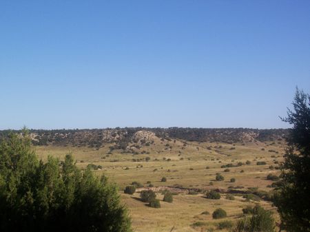 Hatchet Ranch 50 Acres : Pueblo : Pueblo County : Colorado