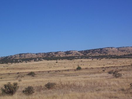 Hatchet Ranch 100 Acres : Pueblo : Pueblo County : Colorado