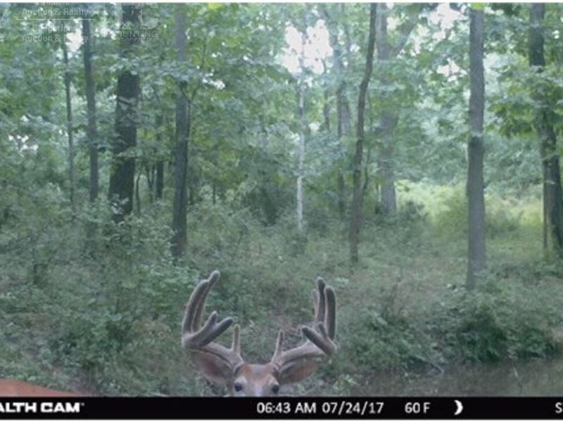 Trophy Whitetail Land On A Dead-End : Genoa : Vernon County : Wisconsin