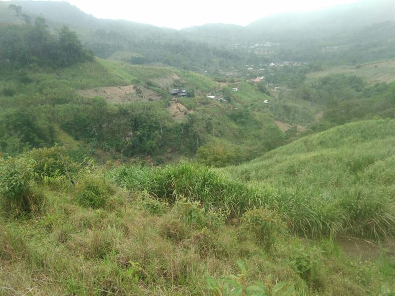 25 Hectares - Farm At Puerto Viejo : Puerto Viejo De Sarapique : Costa Rica