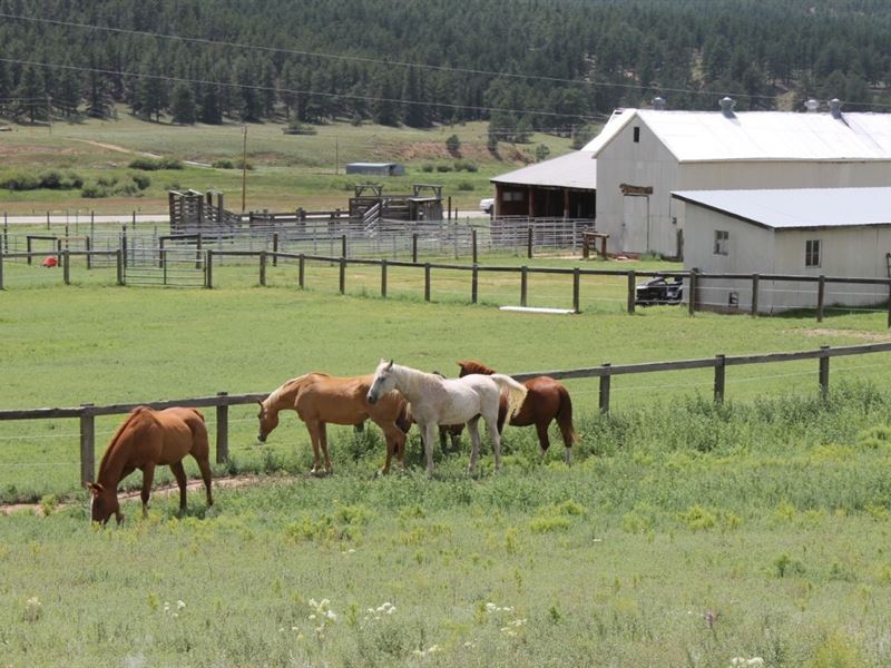Historic Crystal Peak Ranch : Florissant : Teller County : Colorado