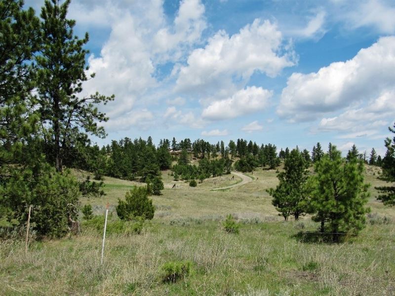 Sustainable Mountain Ranch : Lavina : Musselshell County : Montana
