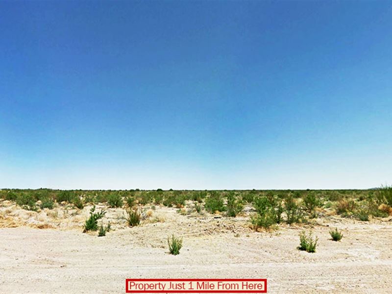 Amazing Lot for Ranching Or Farming : Dateland : Yuma County : Arizona