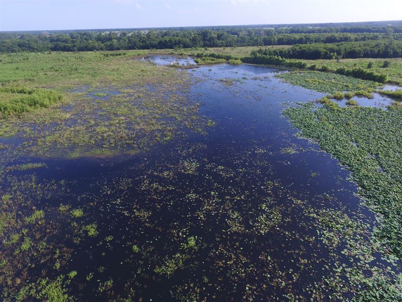 Hunting Sanctuary : Lake Creek : Delta County : Texas