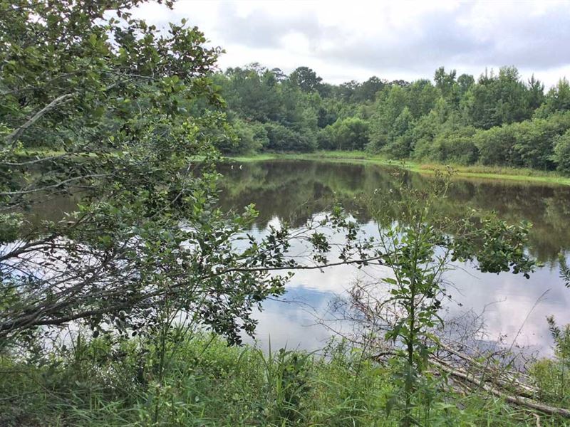 Provitt Road Tract : Grady : Crenshaw County : Alabama