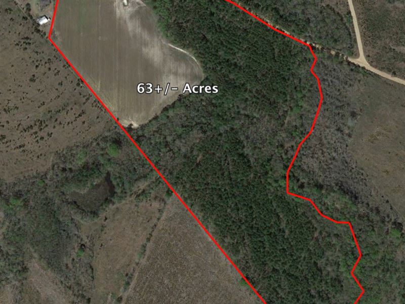 Fantastic Hunting and Timber Tract : Metter : Candler County : Georgia