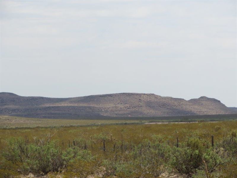 40 Acres in West Texas-$0 Down : Sierra Blanca : Hudspeth County : Texas