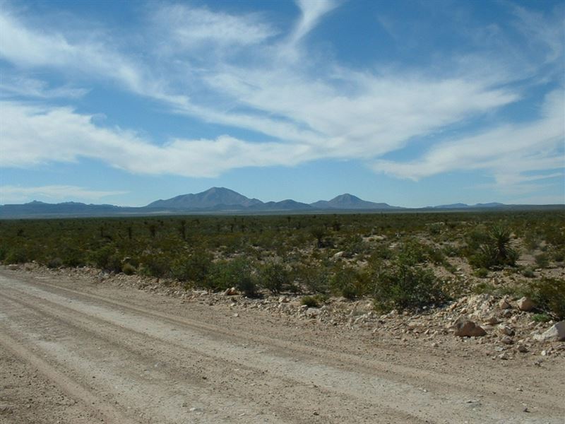 60 Acres in West Texas Only $298/Mo : Sierra Blanca : Hudspeth County : Texas