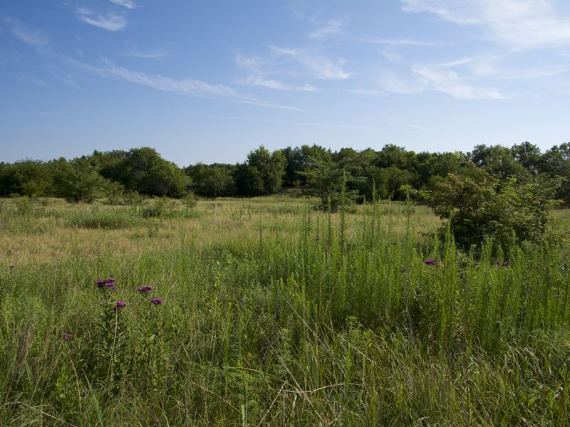 Central Kansas Wildlife Tract : Canton : McPherson County : Kansas