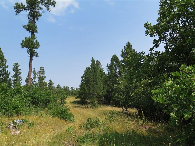 The Elk Trail, Ranch for Sale in Wyoming, 128658 RANCHFLIP