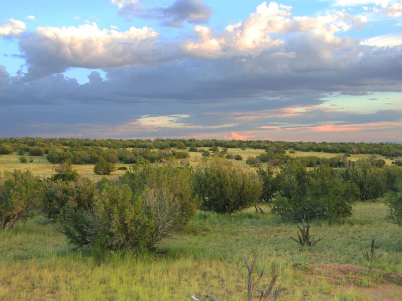 Secluded 37 Acre Northern Az Ranch : Saint Johns : Apache County : Arizona