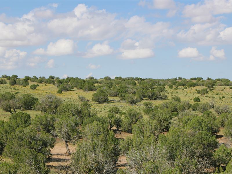 Cool Northern Az Ranch $273 Month : Saint Johns : Apache County : Arizona