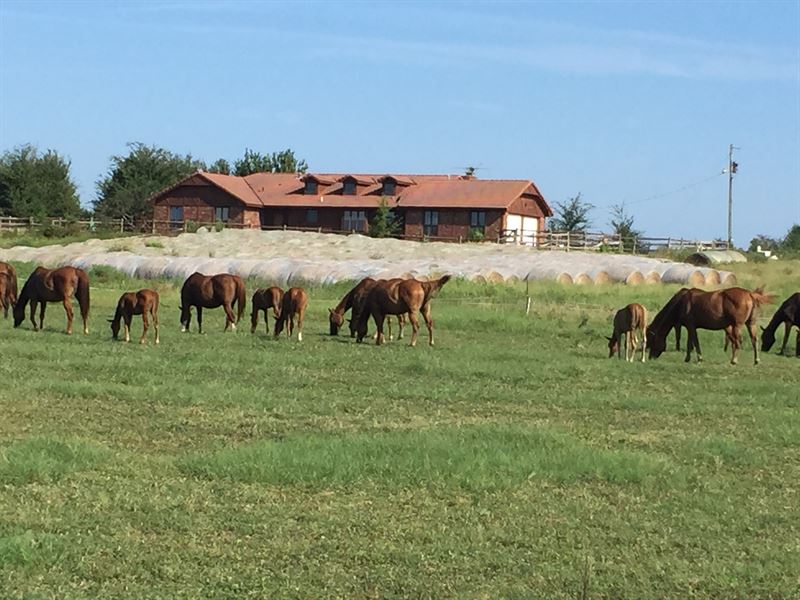 Horse Ranch : Keota : Haskell County : Oklahoma