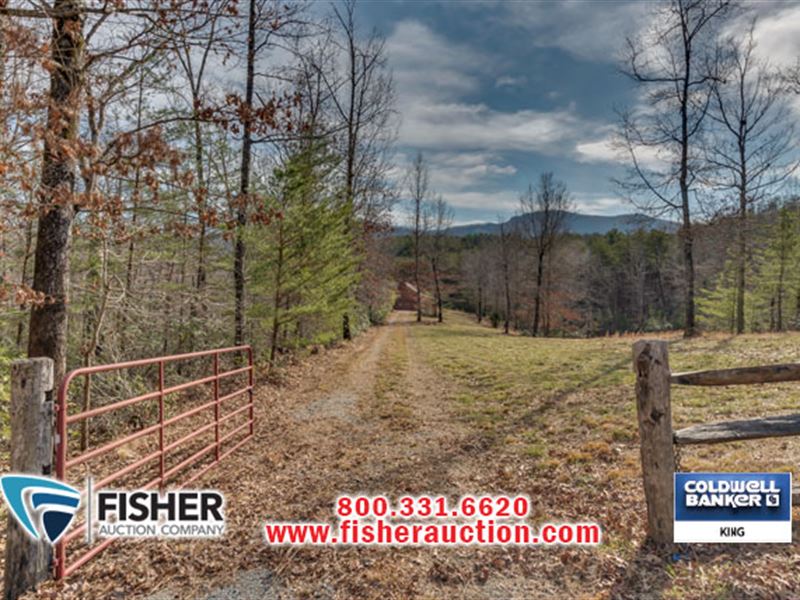 Online Real Estate Auction : Mill Spring : Polk County : North Carolina