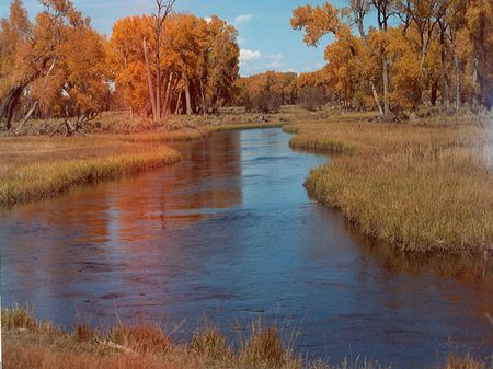 San Luis Valley 200 Acre Ranch : Monte Vista : Rio Grande County : Colorado