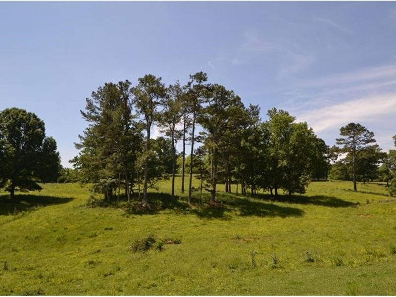 15 Acre Farm For Sale Ranch for Sale in Cumming, Forsyth County