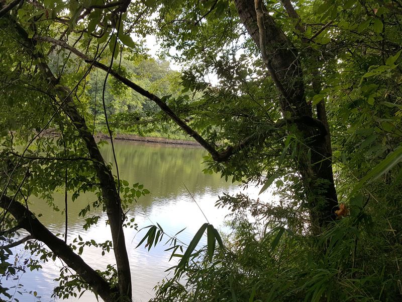 Chattahoochee River with Home Plus : Blakely : Early County : Georgia