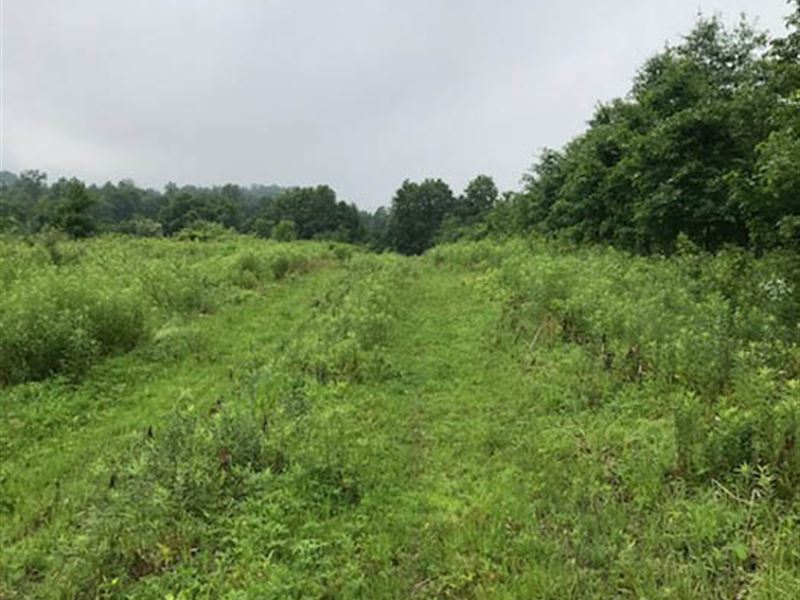13+/ Acres Land Building Lot Ranch Auction in Danville, Montour