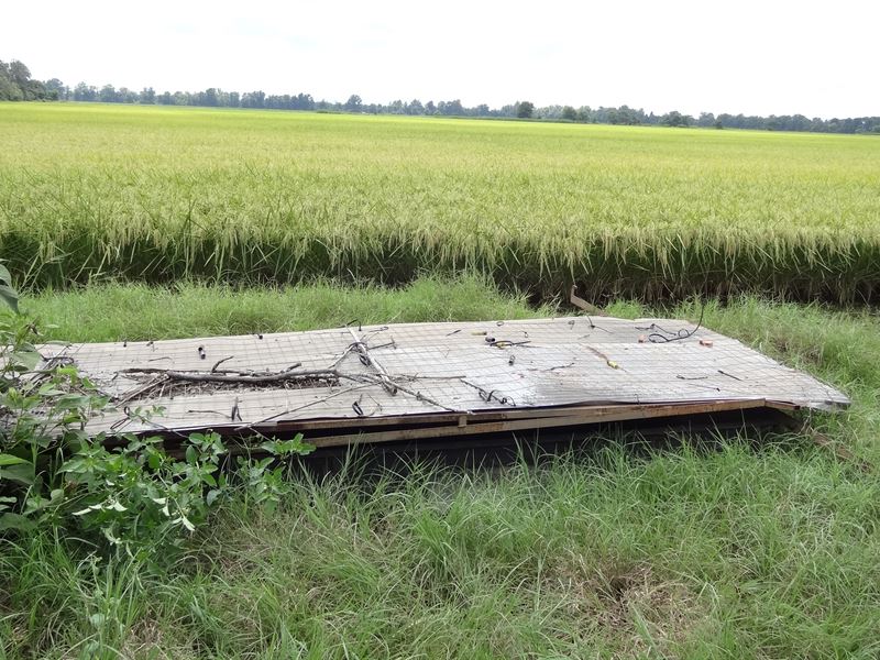 Duck & Deer Lease - Lonoke County : Allport : Lonoke County : Arkansas