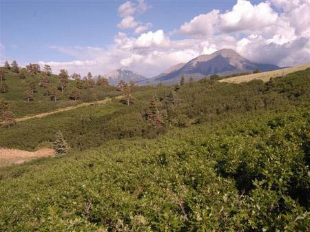 35 Acres Raspberry Mtn Ranch : La Veta : Huerfano County : Colorado