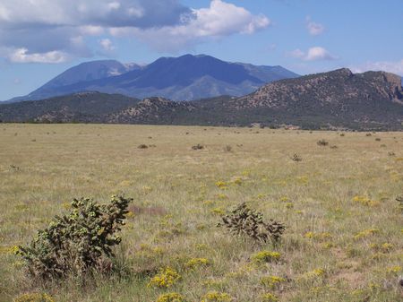 Majors Ranch 237 Acres : La Veta : Huerfano County : Colorado