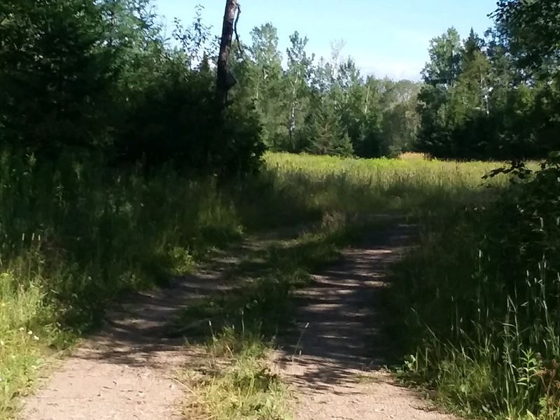93 Acre Farmland Parcel for Sale : Woodland : Aroostook County : Maine