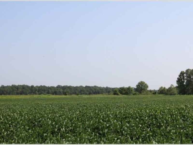 260 Acres in Yazoo County : Yazoo City : Yazoo County : Mississippi