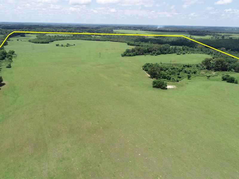 601.2 Acre Cattle Farm : Preston : Webster County : Georgia