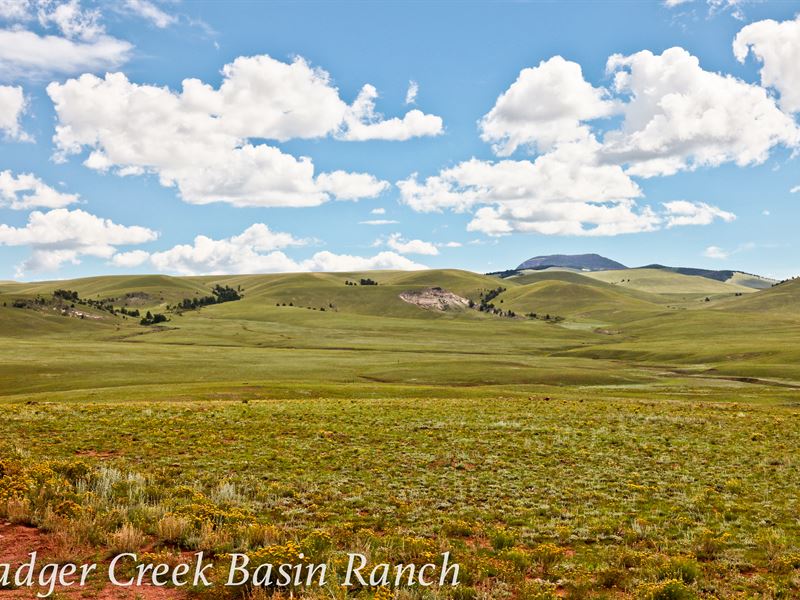 Badger Creek Basin Ranch : Hartsel : Park County : Colorado
