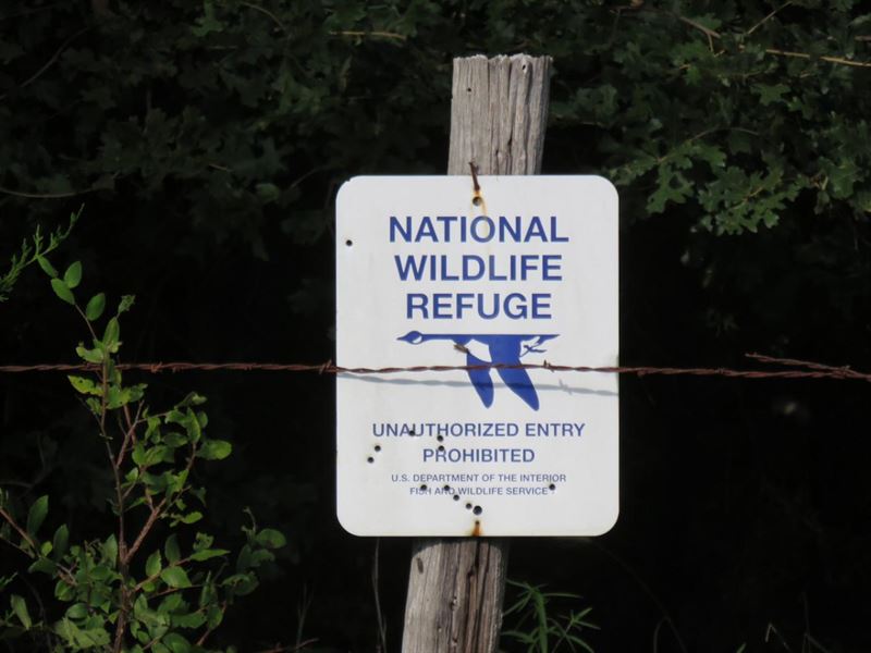 Hagerman Whitetail Ranch, Ranch for Sale in Texas, 129490 RANCHFLIP