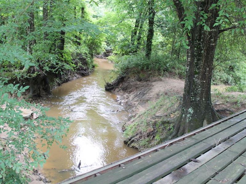 Triple C Ranch : Gilmer : Upshur County : Texas