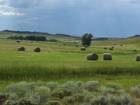 Wiant Ranch : Saratoga : Carbon County : Wyoming