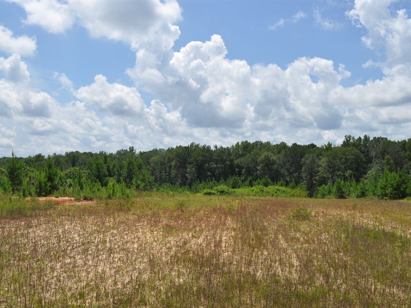 Oconee Tract B : Greensboro : Greene County : Georgia