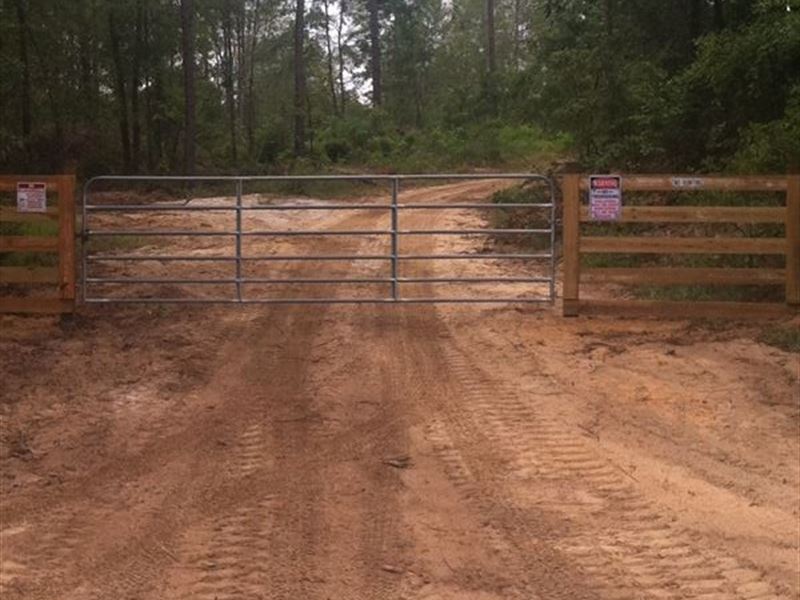 Awesome Deer and Turkey Hunting : Rupert : Schley County : Georgia