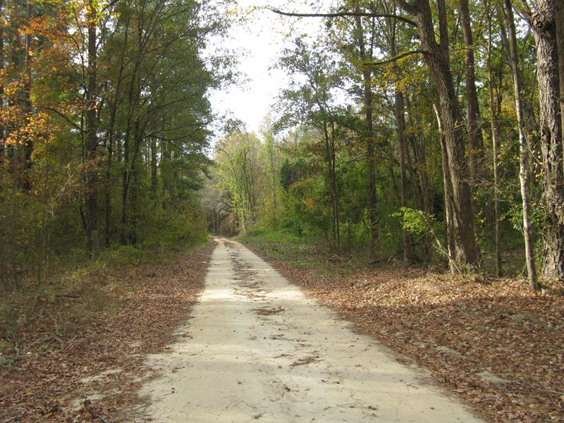 Little Egypt - Marlboro County : Bennettsville : Marlboro County : South Carolina