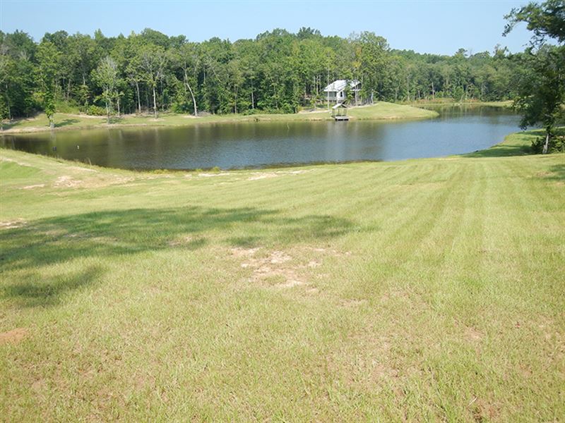 High Ridge Preserve : High Ridge : Bullock County : Alabama