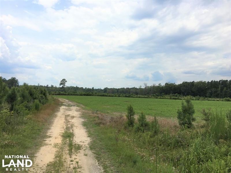 Lee County Hunting Estate : Lynchburg : Lee County : South Carolina