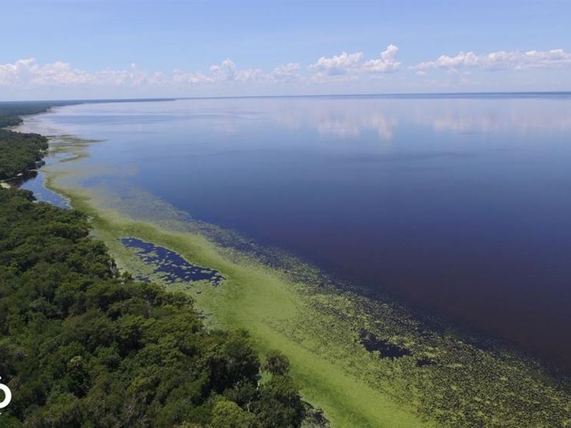 Lake George Waterfront Tract : Georgetown : Putnam County : Florida