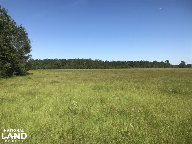 Flat Field Ranch and Farm : Atmore : Escambia County : Alabama