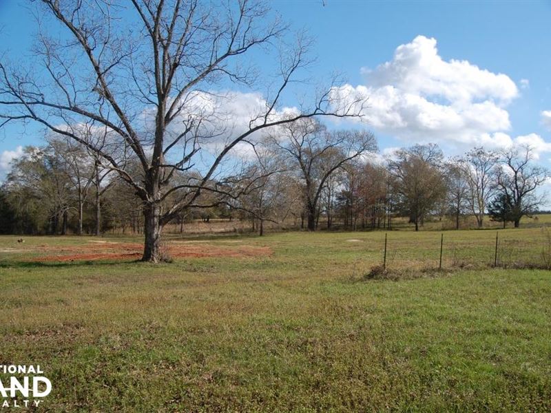 107 Acre Farm and Recreation Proper : Ellaville : Schley County : Georgia