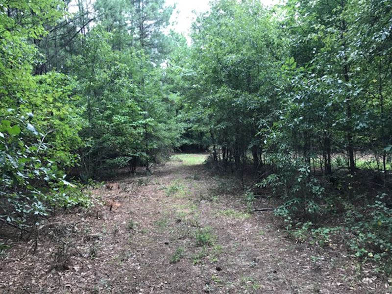 Nice Wooded Homesite Near Town : Jackson : Butts County : Georgia