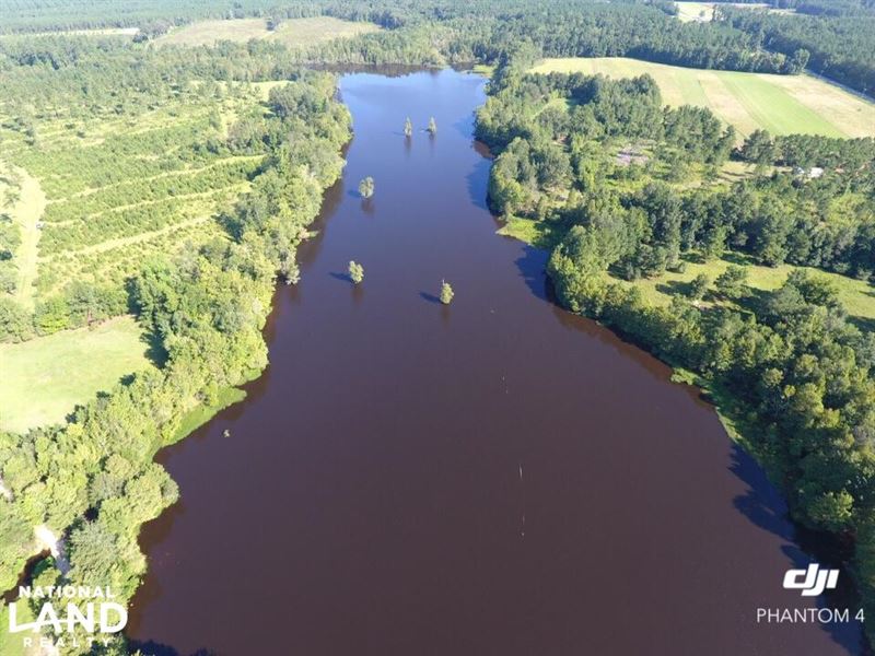 Black Mingo Plantation : Georgetown : Georgetown County : South Carolina