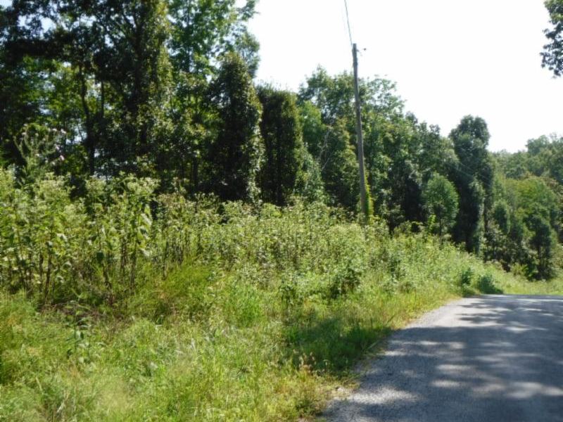 18 Ac, Mature Woods, Great Hunting : Celina : Clay County : Tennessee