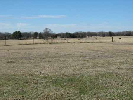 110.79 Acre Ranch : Wills Point : Van Zandt County : Texas