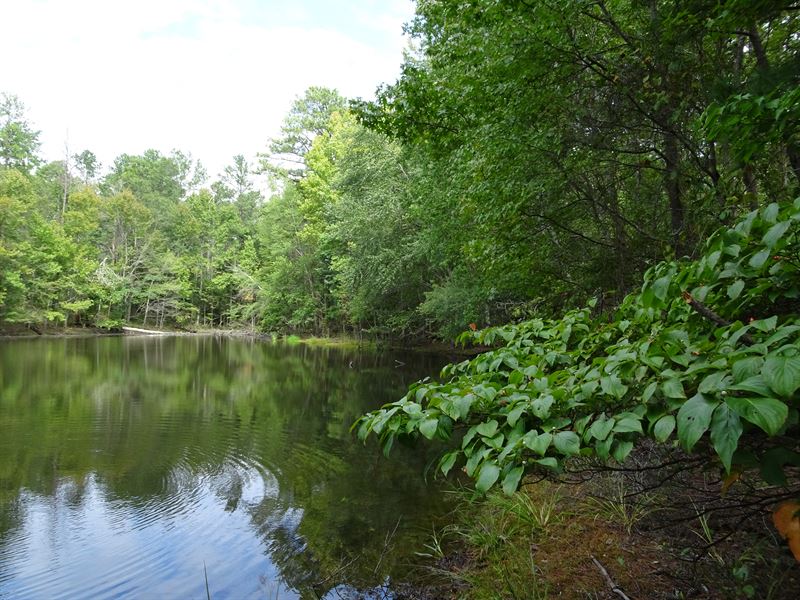 Rock Quarry Tract : Macon : Jones County : Georgia