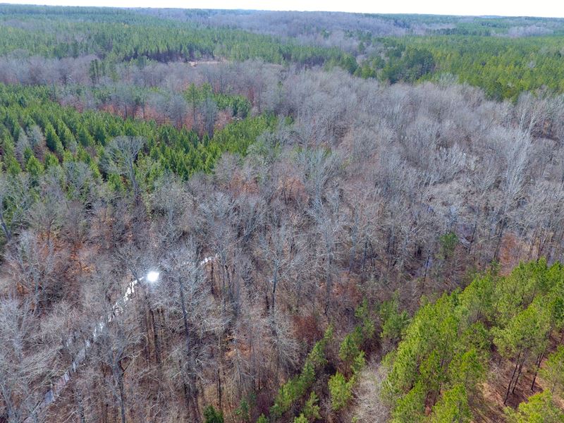 782+/- Acres, Oak Bowery Plantation : La Fayette : Chambers County : Alabama