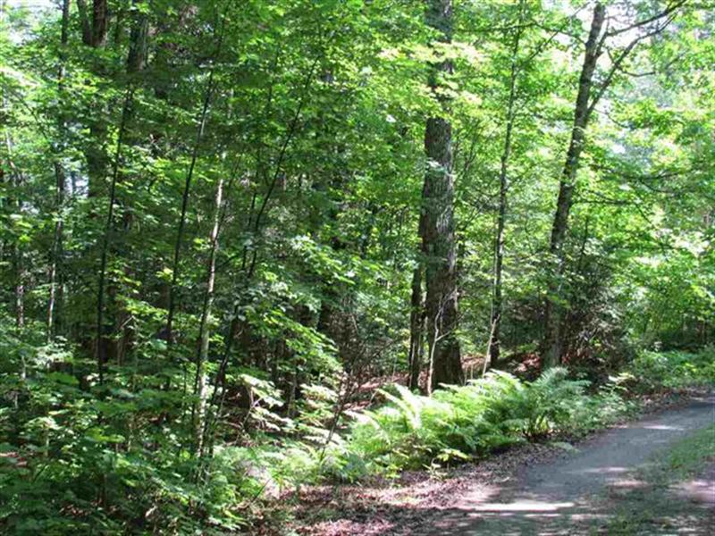 24500V Lake Ruth Rd : Spurr : Baraga County : Michigan