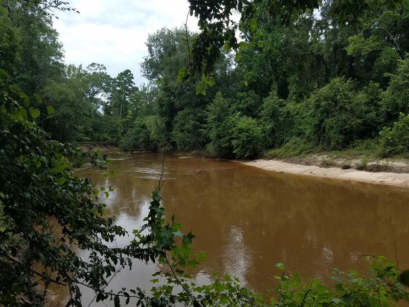 Patsaliga River : Dozier : Crenshaw County : Alabama